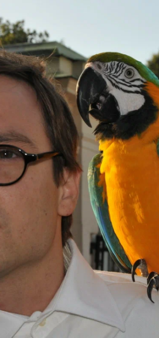 Ирония любви