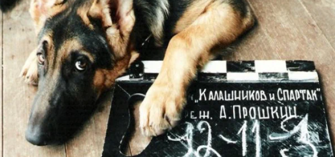 Спартак и Калашников